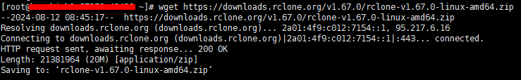 Hướng dẫn cách backup dữ liệu website từ Directadmin lên Google Drive 1 cai-dat-thanh-cong-rclone-v1-67-0