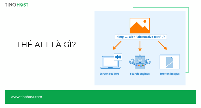 Thẻ Alt là gì? Tại sao Alt lại quan trọng với SEO? Cách viết thẻ Alt cho hình ảnh như thế nào? 1 the-alt-la-gi