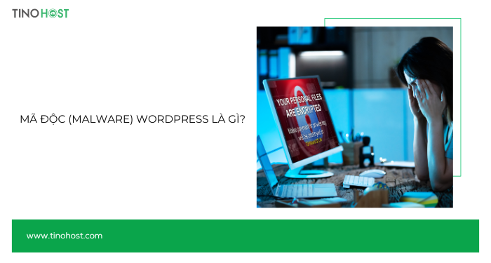Hướng dẫn xử lý mã độc website WordPress trên cPanel 1 Hướng dẫn xử lý mã độc website WordPress trên cPanel 1
