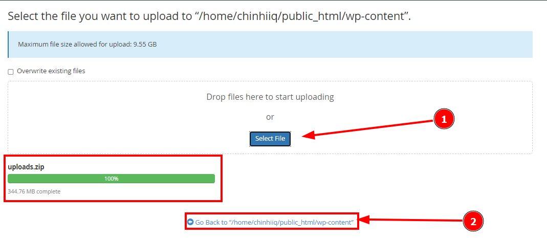 Hướng dẫn xử lý mã độc website WordPress trên cPanel 21 upload-file-uploads-zip