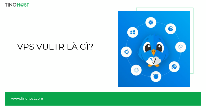 Hướng dẫn cách cài WordPress trên VPS Vultr chi tiết A-Z 1 vps-vultr-la-gi