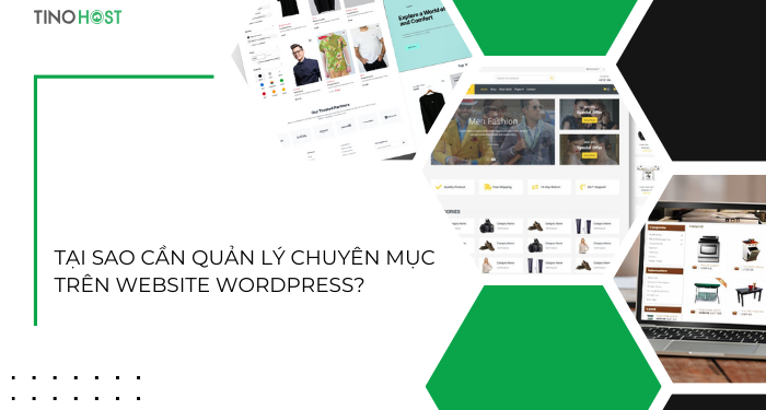 Hướng dẫn chỉnh sửa, thêm và xóa chuyên mục bài viết trên website WordPress 2 tai-sao-can-quan-ly-chuyen-muc-tren-website-wordpress