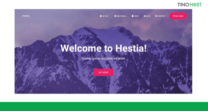 Khám phá top 10 theme WordPress giới thiệu sản phẩm được yêu thích nhất hiện nay 12 Hestia