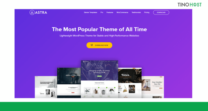 Khám phá top 10 theme WordPress giới thiệu sản phẩm được yêu thích nhất hiện nay 4 Astra