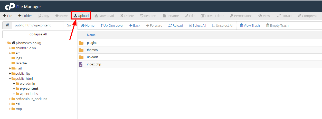 Hướng dẫn xử lý mã độc website WordPress trên cPanel 20 chuc-nang-upload-trong-file-manager