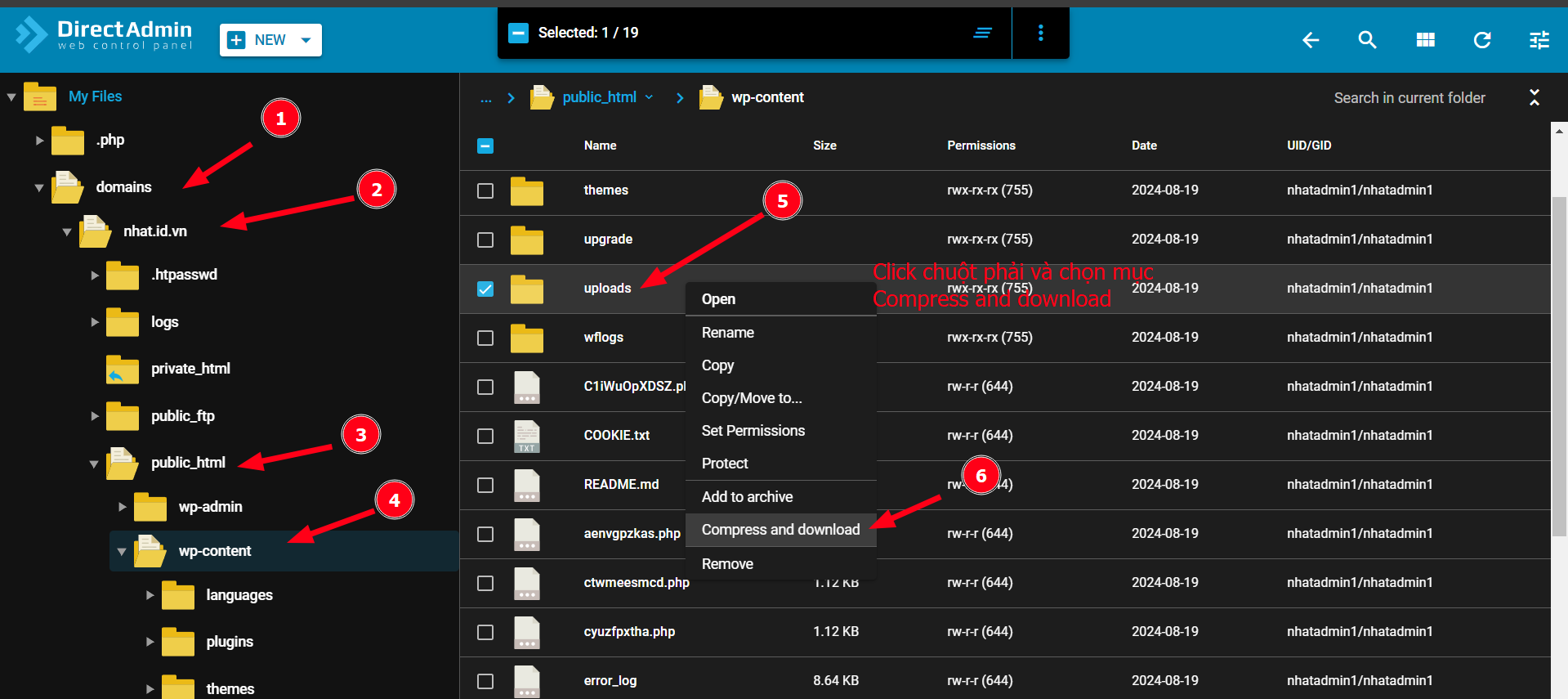 Hướng dẫn xử lý mã độc website WordPress trên DirectAdmin 8 backup-du-lieu-trong-thu-muc-uploads