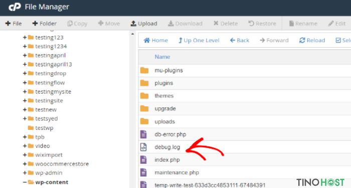 WordPress Debug là gì? Hướng dẫn cách bật/tắt WordPress Debug cho website 4 cac-buoc-bat-tat-che-do-wordpress-debug-cho-website