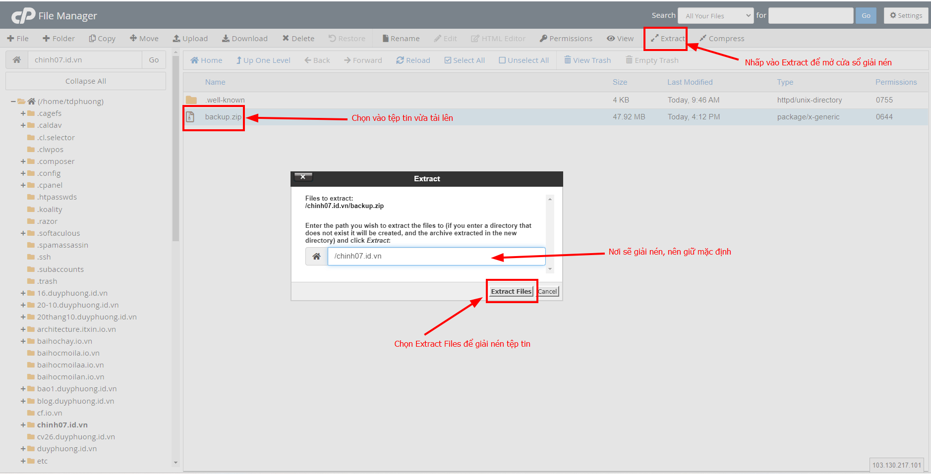 Hướng dẫn chi tiết cách restore website WordPress trên cPanel hosting 14 cua-so-tuy-chon-giai-nen-nhap-extract-files