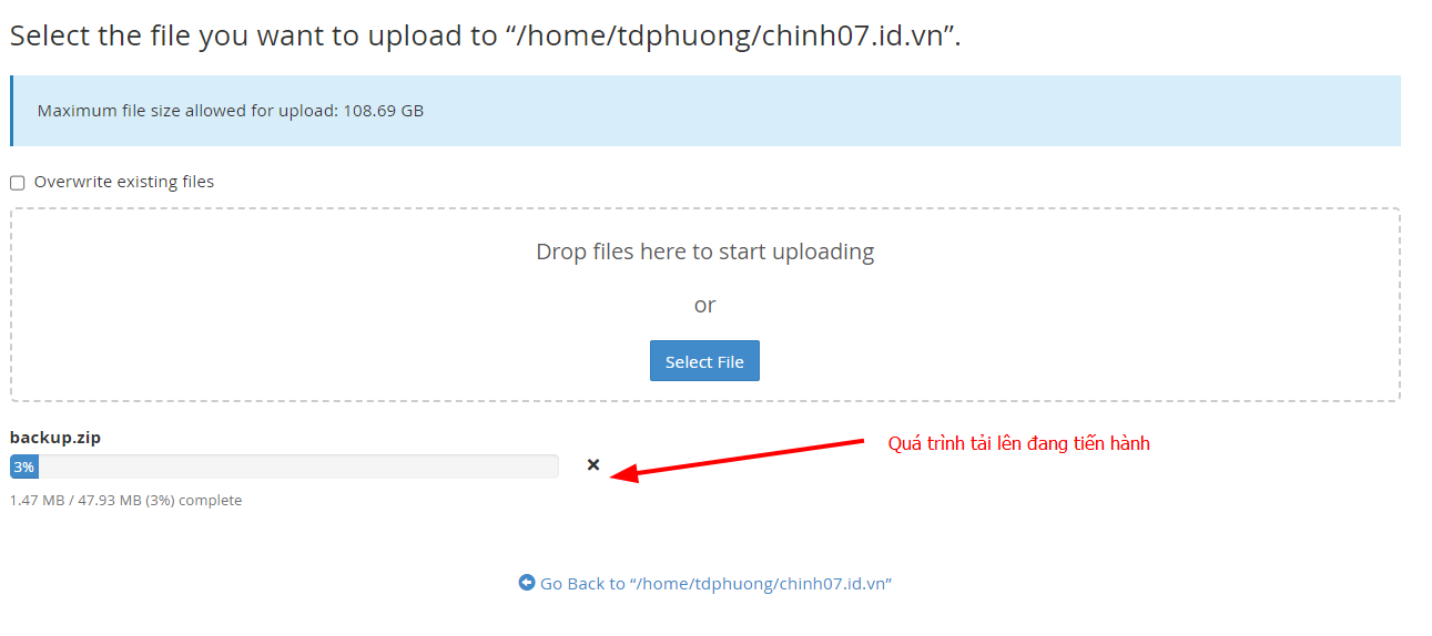 Bật mí cách chuyển website WordPress sang hosting mới không lỗi 28 Tải lên mã nguồn lên cPanel hosting mới