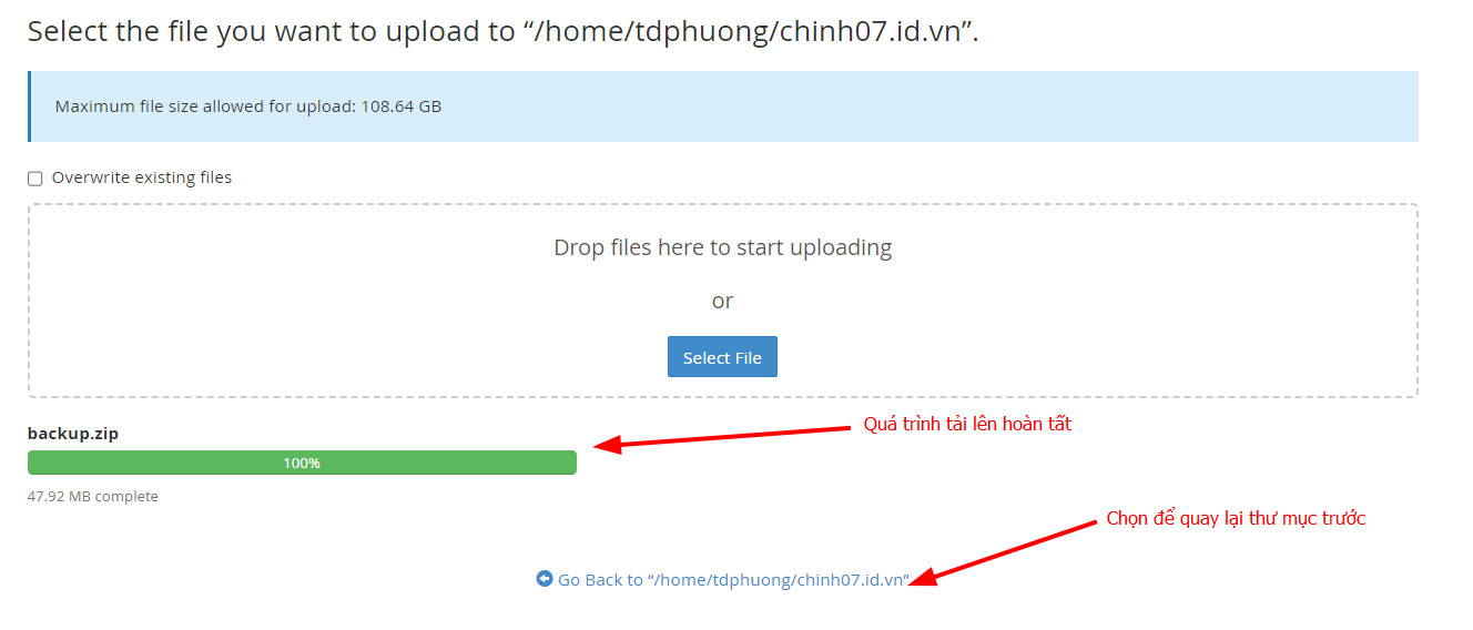 Bật mí cách chuyển website WordPress sang hosting mới không lỗi 29 Tải lên mã nguồn lên cPanel hosting mới