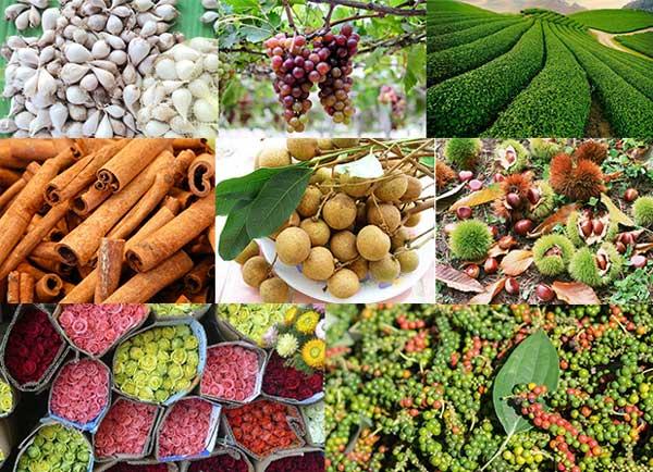 Những điều cần biết về xuất nhập khẩu - ngành thương mại quốc tế “hot” nhất hành tinh 4 nhung-dieu-can-biet-ve-xuat-nhap-khau