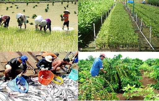 Những điều cần biết về xuất nhập khẩu - ngành thương mại quốc tế “hot” nhất hành tinh 2 nhung-dieu-can-biet-ve-xuat-nhap-khau