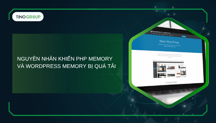 Hướng dẫn tăng PHP Memory Limit và WordPress Memory Limit để tối ưu hiệu suất 2 Nguyên nhân khiến PHP Memory và WordPress Memory bị quá tải