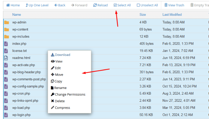 Upload mã nguồn WordPress