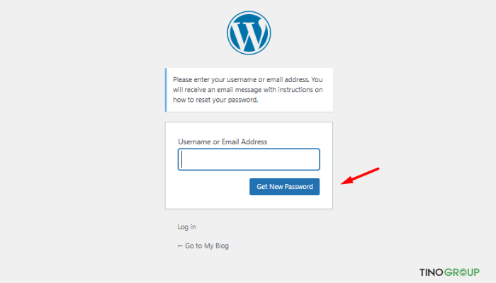 Hướng dẫn cách đổi mật khẩu và lấy lại mật khẩu WordPress (Chi tiết cho người mới) 5 Lấy lại mật khẩu qua email