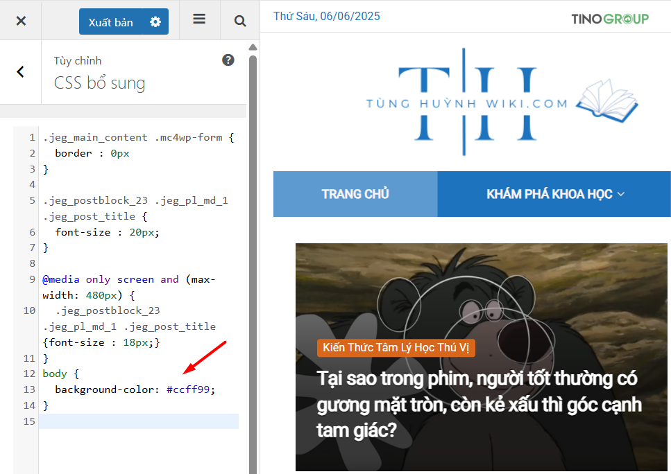Sử dụng Custom CSS (CSS tùy chỉnh)
