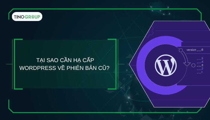 Tại sao cần hạ cấp WordPress về phiên bản cũ? 