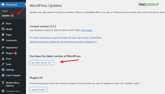 Cách hạ cấp WordPress bằng plugin WP Downgrade