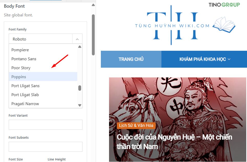 Cách thay đổi font chữ và màu chữ trong WordPress cực dễ 2025 18 Sử dụng Tùy chọn có sẵn của Theme (Theme Options)