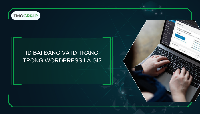 Cách tìm ID bài đăng và ID trang trong WordPress dễ dàng 1 ID bài đăng và ID của trang trong WordPress là gì?