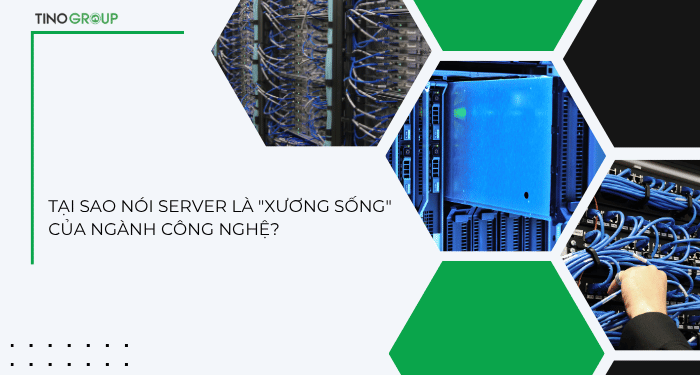 Server quan trọng như thế nào?