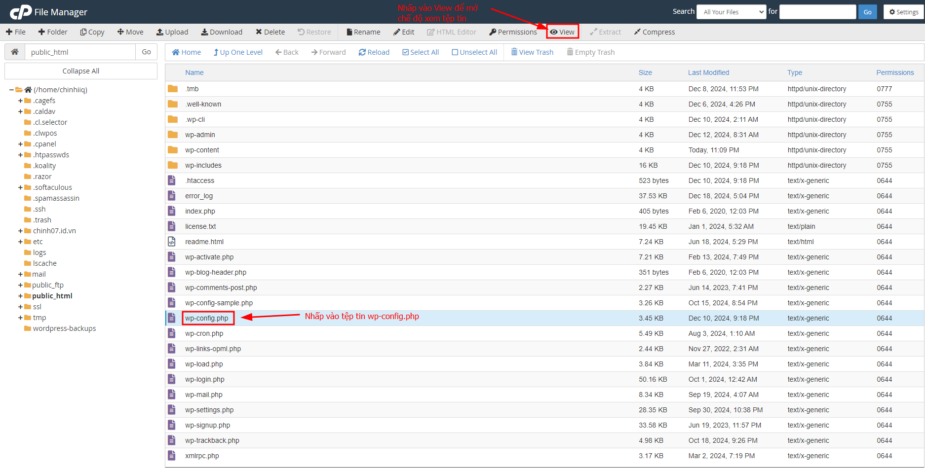 Cách backup website WordPress: hướng dẫn tự động và thủ công 22 Sao lưu dữ liệu (database) của website