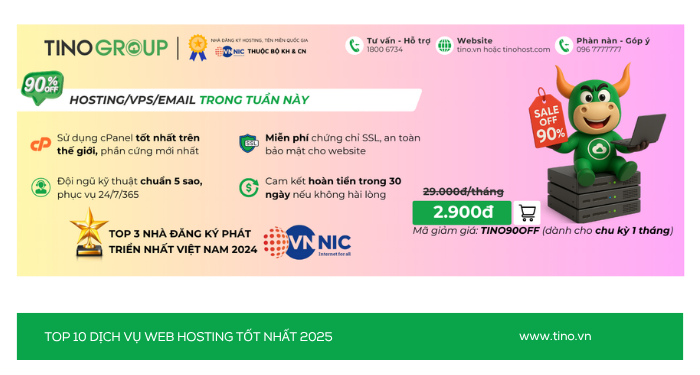 Nên thuê hosting ở đâu? Top 10 dịch vụ web hosting tốt nhất 2025 2 Tino- Nhà cung cấp hosting chuyên nghiệp