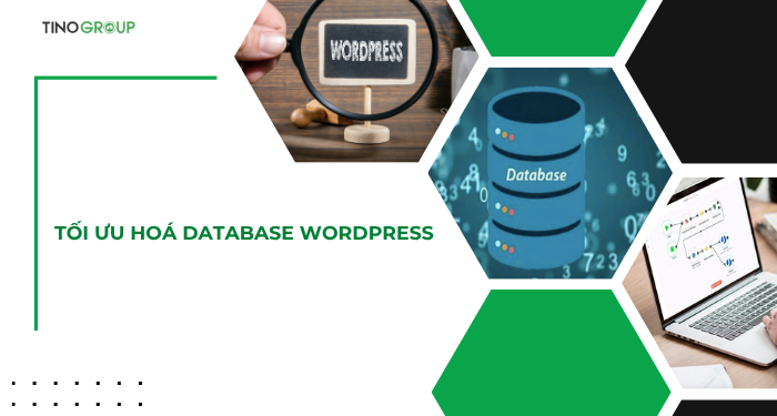 Plugin tối ưu Database: giải pháp tiện lợi