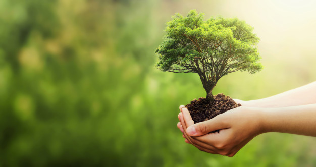 Top 7 sản phẩm bán online chạy nhất hiện nay 2022 8 san-pham-ban-online-chay-nhat