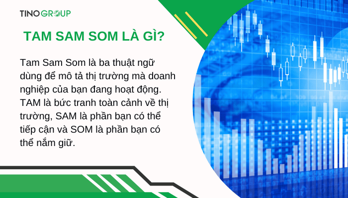 TAM SAM SOM là gì? Cách ứng dụng TAM SAM SOM dành cho doanh nghiệp 1 khai-niem-tam-sam-som