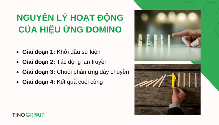 Hiệu ứng Domino là gì? Giải mã hiện tượng thay đổi dây chuyền bất ngờ 2 nguyen-ly-hoat-dong-cua-hieu-ung-domino