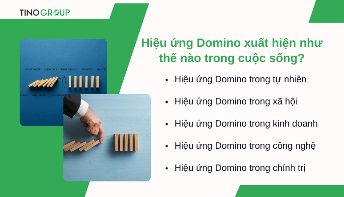 Hiệu ứng Domino là gì? Giải mã hiện tượng thay đổi dây chuyền bất ngờ 3 hieu-ung-domino-xuat-hien-nhu-the-nao-trong-cuoc-song