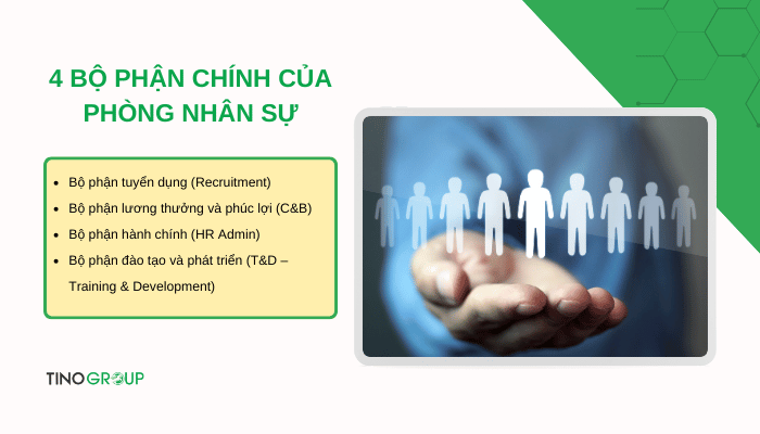 Nhiệm vụ và chức năng của phòng nhân sự là gì? Chìa khoá để quản lý nhân tài thành công 2 bo-phan-chinh-cua-phong-nhan-su