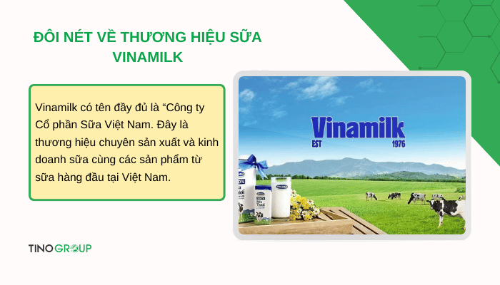 Bản đồ định vị thương hiệu của Vinamilk - sức mạnh đằng sau thương hiệu quốc gia 2 doi-net-ve-thuong-hieu-sua-vinamilk