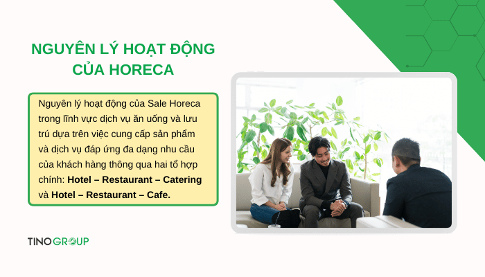 Sale Horeca là gì? Giải mã nghề Sale trong ngành Horeca 2 nguyen-ly-hoat-dong-cua-horeca