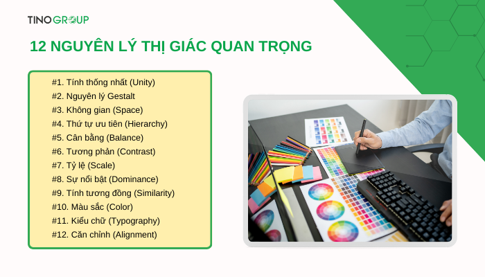 Nguyên lý thị giác là gì? Bí quyết làm chủ ánh nhìn của khách hàng 2 cac-nguyen-ly-thi-giac-quan-trong