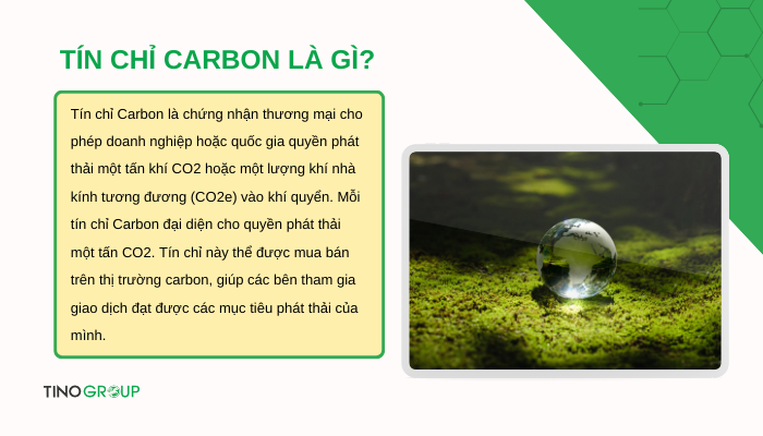 Hành trình giảm phát thải: Phát thải CO2 là gì và vì sao lại quan trọng? 5 tin-chi-carbon-la-gi