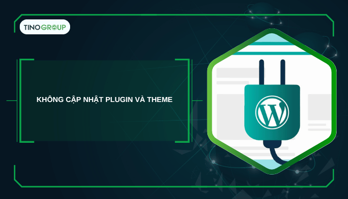 Không cập nhật plugin và theme