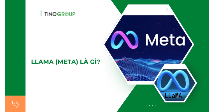 Llama (Meta) là gì? Hướng dẫn toàn tập về mô hình AI mã nguồn mở [2025] 1