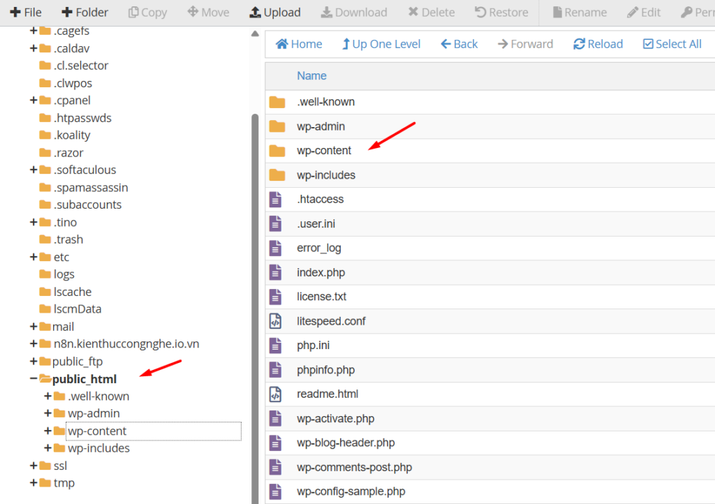 Xoá theme WordPress qua cPanel