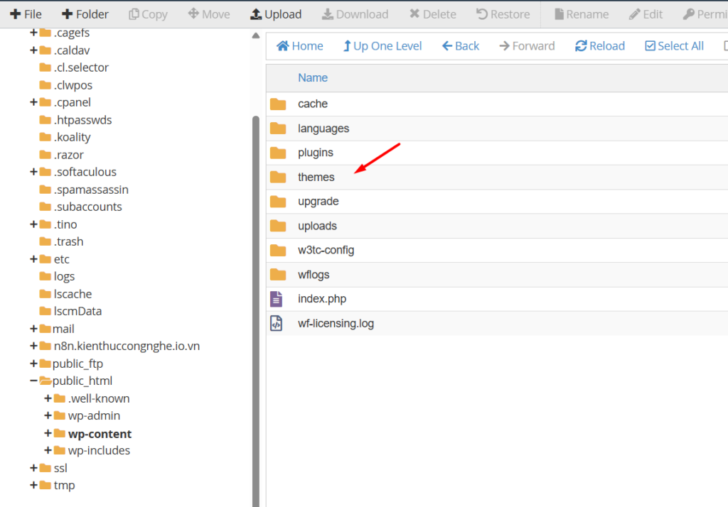 Xoá theme WordPress qua cPanel