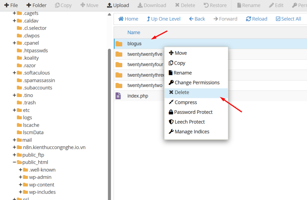 Xoá theme WordPress qua cPanel