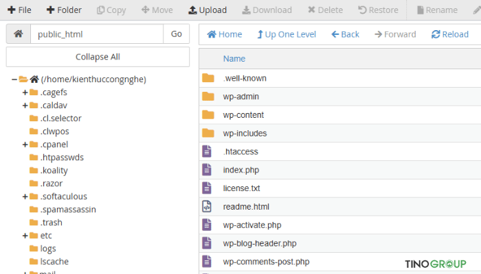 Kiểm tra xem MySQL Extension đã được kích hoạt chưa