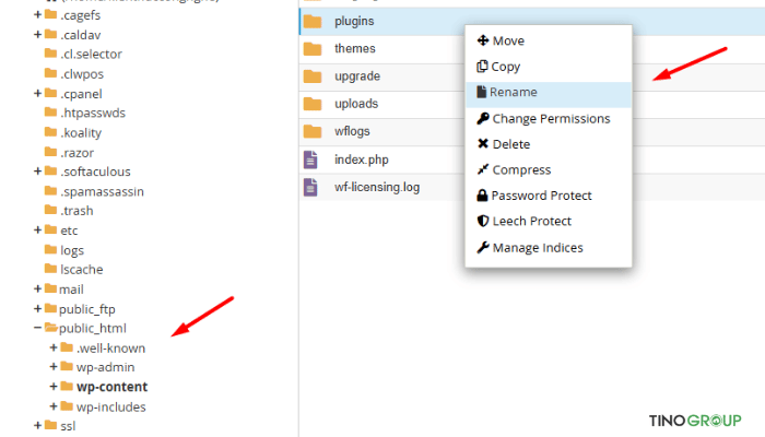 Lỗi do xung đột plugin