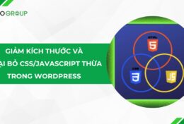 3 cách giảm kích thước và loại bỏ CSS/JAVASCRIPT thừa trong WordPress