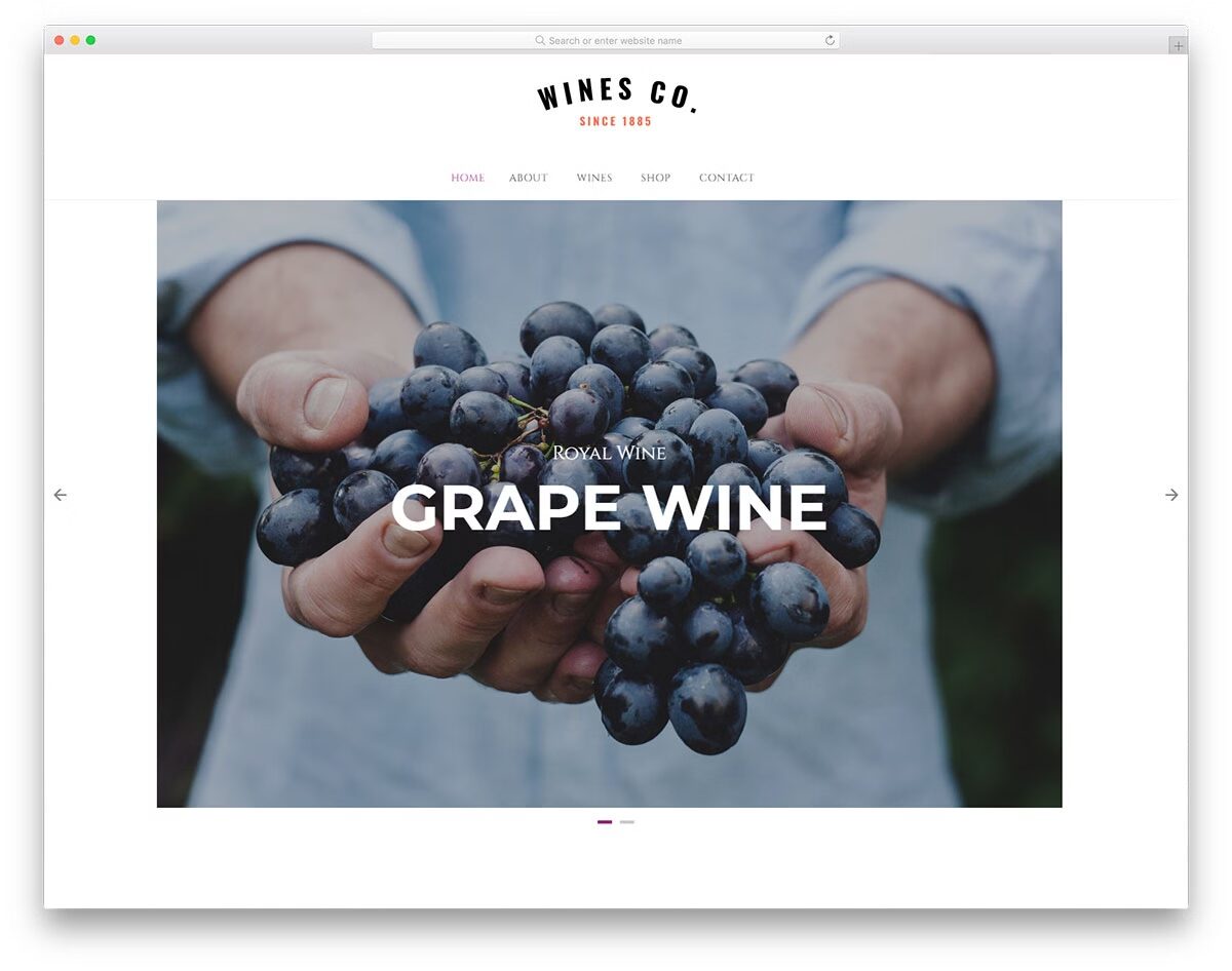 Top 50+ mẫu website bán hàng WordPress đẹp, chuẩn SEO 2025 51 Wines