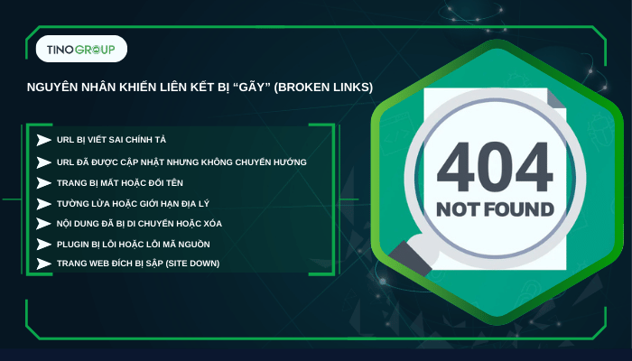 Cách tìm và sửa lỗi broken links trong WordPress [2025] 1