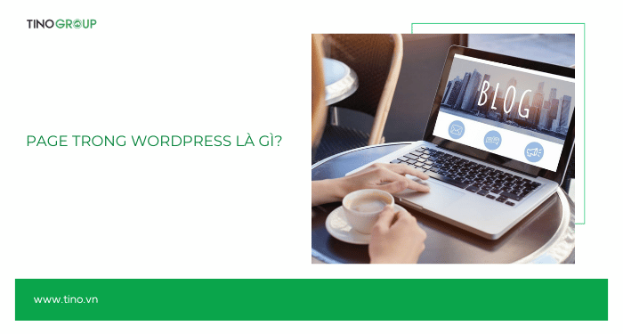 Sự khác biệt giữa Post và Page trong WordPress là gì? Khi nào dùng Post? khi nào dùng Page? 2 Page trong WordPress là gì?