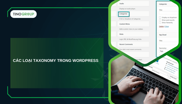 Taxonomy WordPress là gì? Hướng dẫn custom Taxonomy WordPress chuẩn SEO 2 Các loại Taxonomy trong WordPress