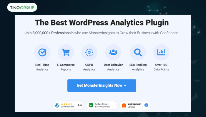 MonsterInsights